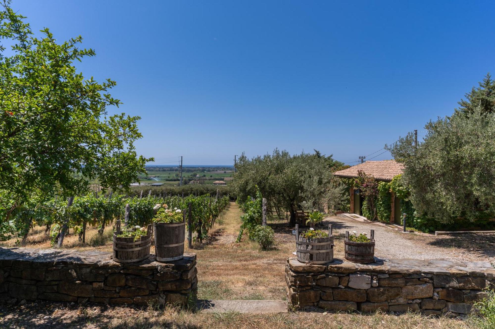 Casale Giancesare Villa Agricola Capaccio Exterior foto